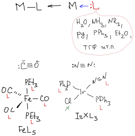 Slide 3 - L ligands